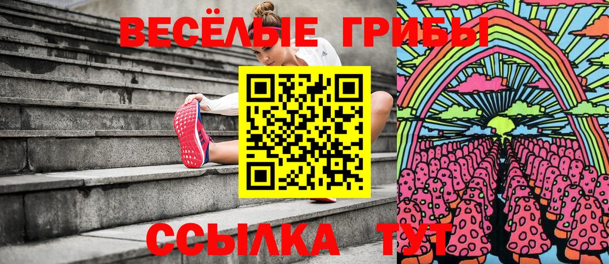 Псилоцибиновые грибы Psilocybe  Вход с VPN  Псилоцибиновые грибы Psilocybine cubensis  как найти   Нарткала 