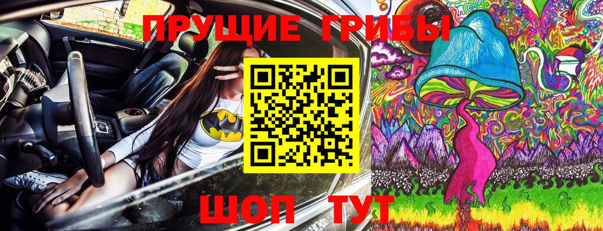 Псилоцибиновые грибы Psilocybine cubensis Нарткала